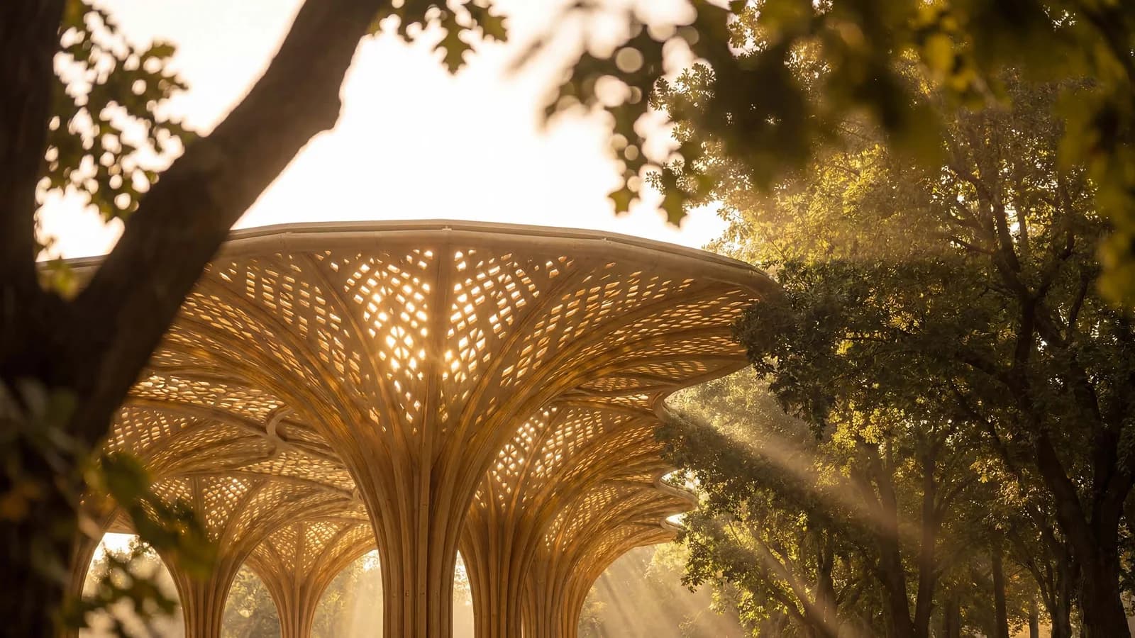 The Canopies at Yas Point — 6